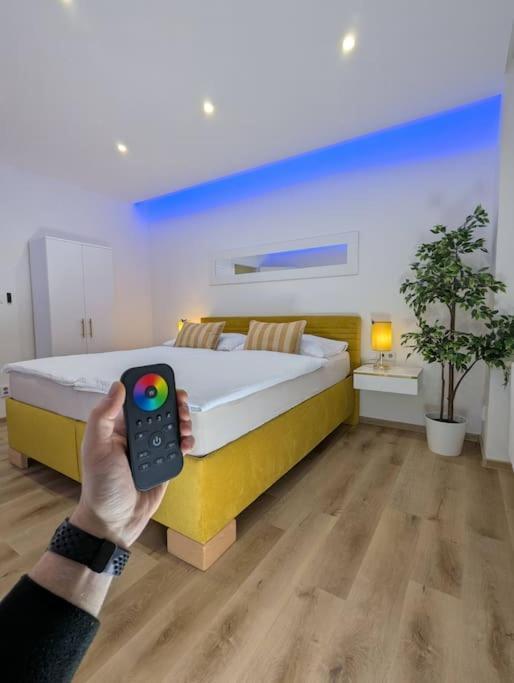 Cool Apartment زنويمو المظهر الخارجي الصورة